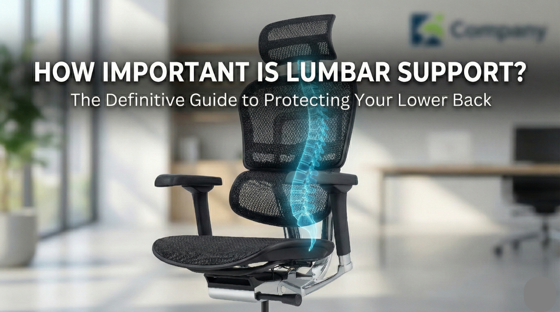 How Important is Lumbar Support? The Definitive Guide to Protecting Your Lower Back